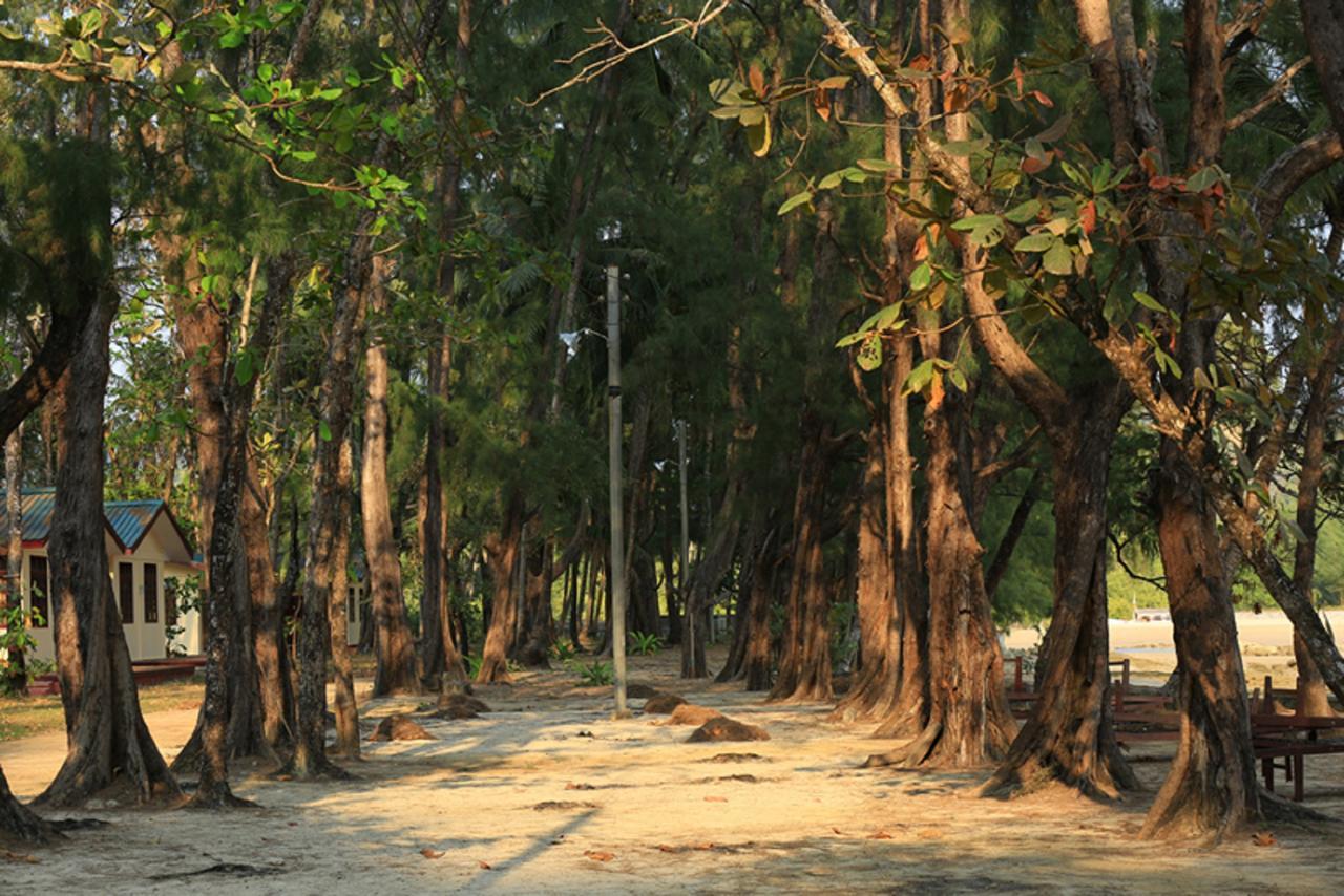 Coconut Island Resort Ngapali Exteriér fotografie